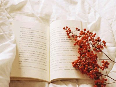 ​乐花卡怎么还款（乐花卡怎么还款算利息）