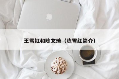 ​王雪红和陈文琦（陈雪红简介）