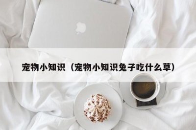 ​宠物小知识（宠物小知识兔子吃什么草）