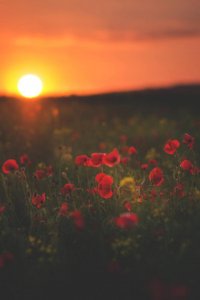 ​脍炙的意思是什么（汉字故事：脍炙人口，不用这个“烩” 汉字故事：脍炙人口，