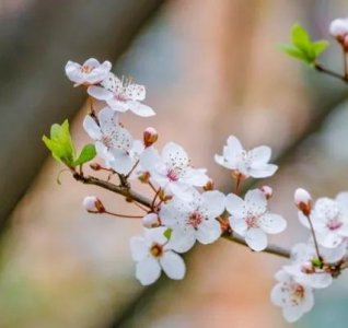 ​四月你好的励志句子（四月暖心祝福干净唯美句子文案）