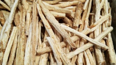 ​北沙参的功效与作用 常用中药北沙参养阴润肺，益胃生津