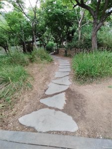 ​有节奏感的音乐（有节奏感的音乐英文）