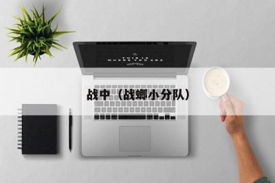 ​战中（战螂小分队）