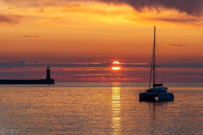 ​人生感悟的句子(最新的人生感悟短句，精辟至极，越读越有味)