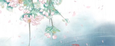 ​古树茶是绿茶还是发酵茶 古树茶是发酵茶吗能喝吗