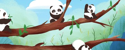 ​杭州野生动物园有哪些动物 杭州的野生动物园有哪些