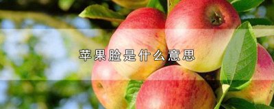 ​脸上IPHONE 把脸比作苹果
