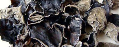 ​木耳过夜放冰箱还能吃吗 木耳可以放冰箱过夜吗