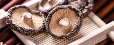 ​香菇怎么保存不会坏掉 香菇怎样保存才不会坏