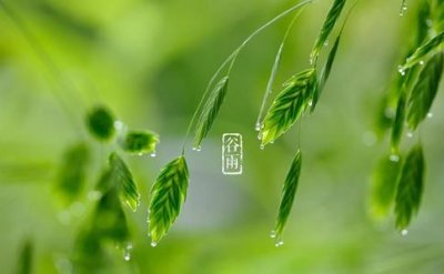​谷雨得名于雨生百谷吗