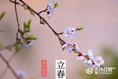 ​立春吃什么如何养生
