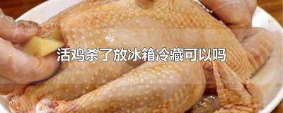 ​活鸡宰杀后可以放多久 活鸡杀了放冰箱能放多久