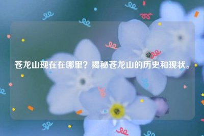 ​苍龙山现在在哪里？揭秘苍龙山的历史和现状。