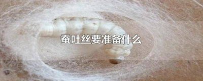 ​蚕吐丝要准备什么 蚕吐丝要准备什么容器