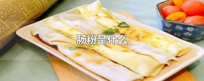 ​肠粉是什么米做的 肠粉是什么时候出现的
