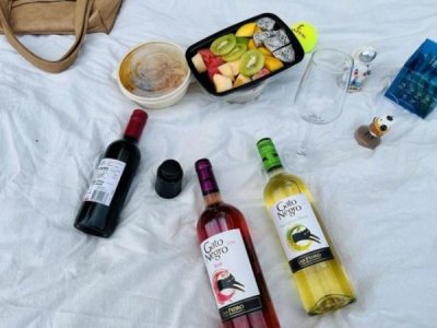 ​桃红酒品牌(桃红酒英文)