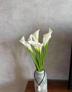 ​什么鲜花水养的时间长一些好养