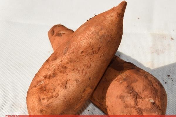 雪莲果为什么裂开了 可能是这几个原因