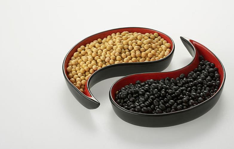 黑豆天天吃好吗 黑豆怎么吃好吃又有营养 黑豆天天吃好吗 黑豆怎么吃好吃又有营养