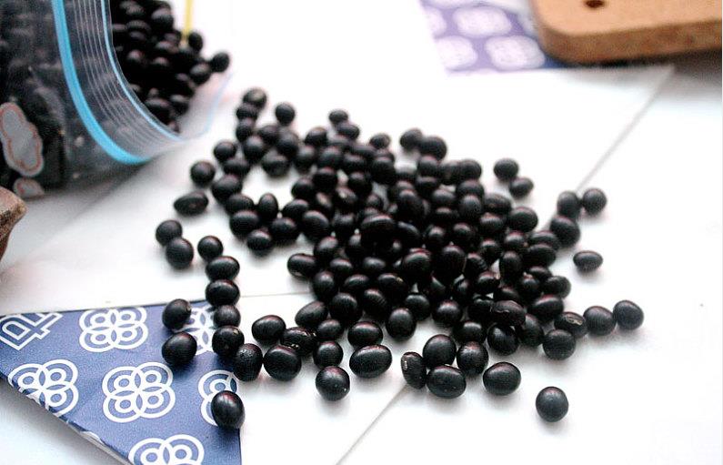 黑豆天天吃好吗 黑豆怎么吃好吃又有营养 黑豆天天吃好吗 黑豆怎么吃好吃又有营养