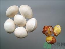 吃白果对女人有什么好处?吃白果对妇科有好处吗? 吃白果对女人有什么好处?吃白果对妇科有好处吗?