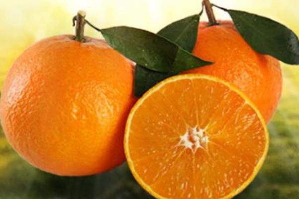 果冻橙的产地在哪里 果冻橙的季节 果冻橙的产地在哪里 果冻橙的季节