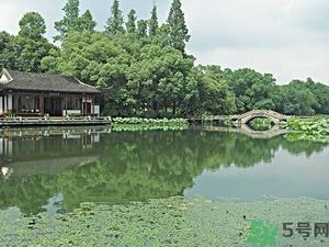 菱角是什么?菱角是什么季节成熟的? 菱角是什么?菱角是什么季节成熟的?