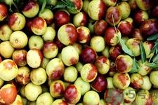 经期能吃冬枣吗？月经期吃冬枣有什么好处？