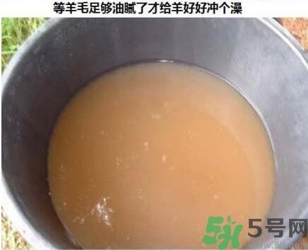 澳洲绵羊油真假 澳洲绵羊油australian creams真假鉴别 澳洲绵羊油真假 澳洲绵羊油australian creams真假鉴别