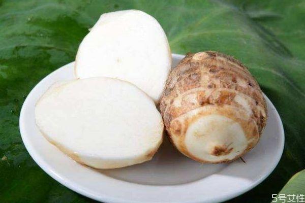芋头发芽可以吃吗 芋头应该怎么吃呢 芋头发芽可以吃吗 芋头应该怎么吃呢