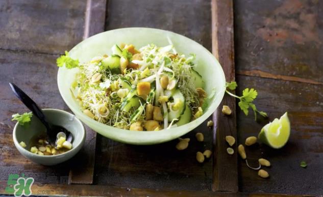 芽苗蔬菜是什么?花生衣有什么用? 芽苗蔬菜是什么?花生衣有什么用?