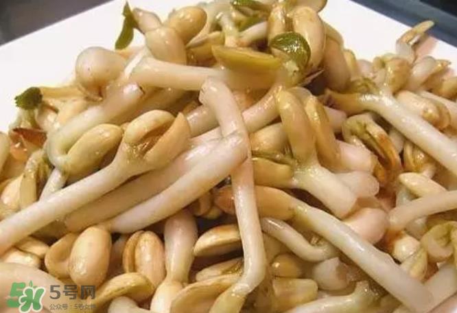 芽苗蔬菜是什么?花生衣有什么用? 芽苗蔬菜是什么?花生衣有什么用?