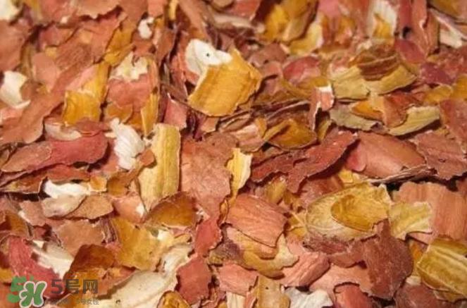 芽苗蔬菜是什么?花生衣有什么用? 芽苗蔬菜是什么?花生衣有什么用?