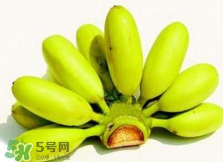 芭蕉是香蕉吗?芭蕉和香蕉的区别 芭蕉是香蕉吗?芭蕉和香蕉的区别