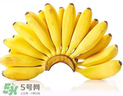 芭蕉是香蕉吗?芭蕉和香蕉的区别 芭蕉是香蕉吗?芭蕉和香蕉的区别