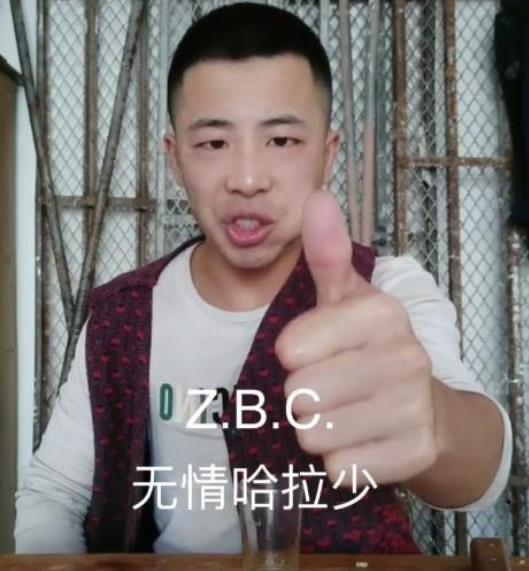 热梗无情哈拉少,小鸟伏特加,雷霆嘎巴什么意思 2