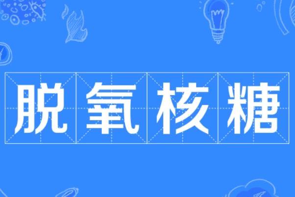 热梗脱氧核糖到底是什么梗? 1