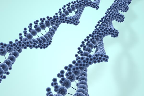 热梗脱氧核糖到底是什么梗? 2