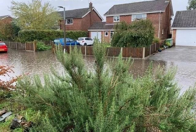 人倒霉起来会遇见什么？这28张又倒霉又沙雕的照片，等我先笑会儿