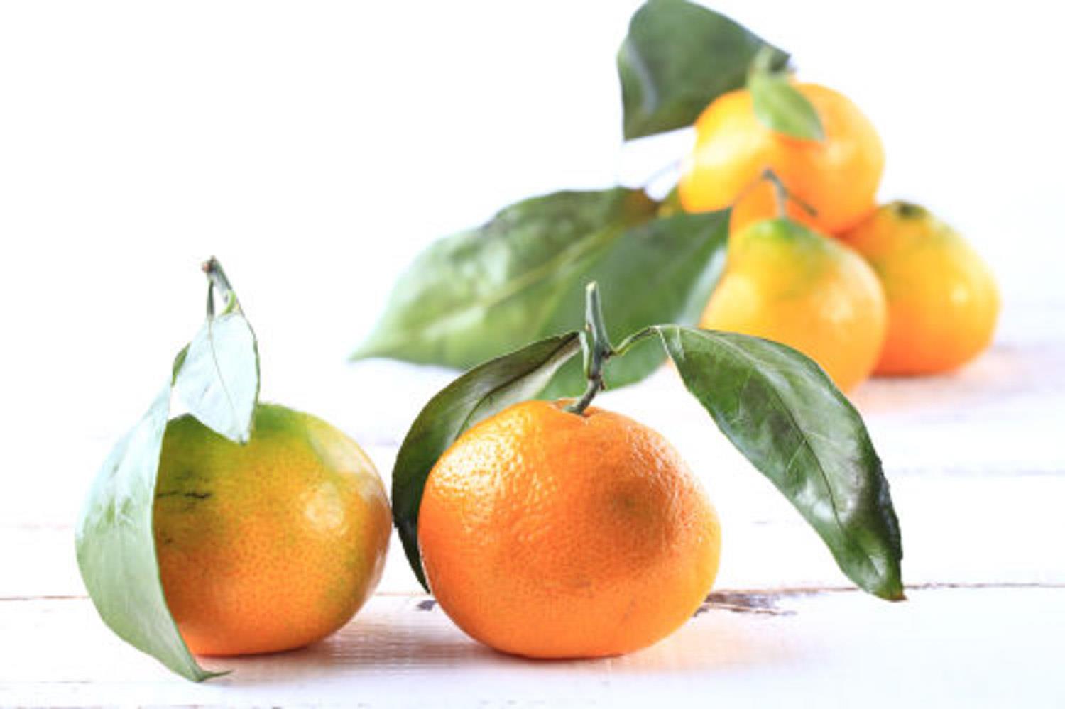 橘子 橘子