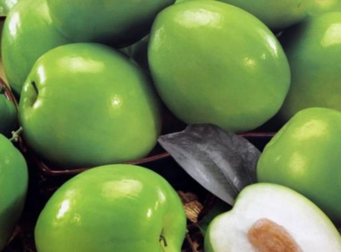 大青枣种植有技术,掌握一项种植要点,种出脆甜可口大青枣