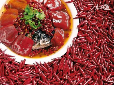 ​中国八大菜系之首川菜介绍，你心中的川菜是什么样子