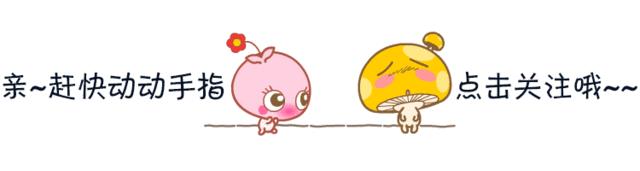 海贼王：小紫到底是谁？海米：不是女帝就是公主，大错特错