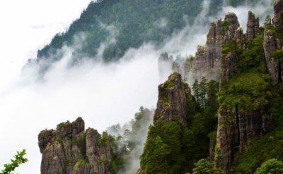 ​神农架发现“驴头狼”，曾被认为已灭绝50万年，为何又突然出现？