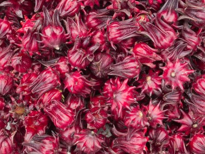 ​洛神花的花语和寓意，有什么传说故事