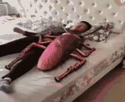 囧哥:男子娶仨老婆生仨娃,三家都在1公里内,被抓后说:不知已违法