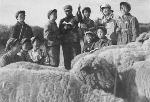 女知青生活是什么样子的？