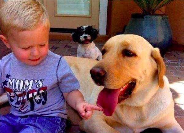 狗真的会吃掉主人吗？流言终结