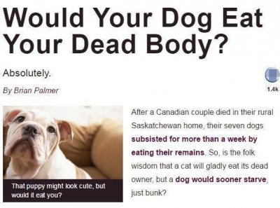 ​狗真的会吃掉主人吗？流言终结